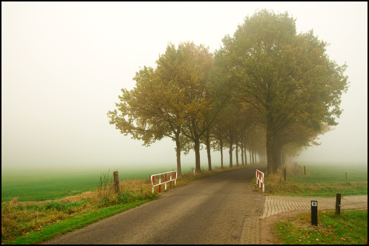 Foggy_Road_by_woopidoo2.jpg